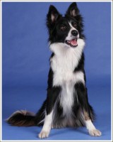 /album/a1/a562064-2084486007762-1117355018-n-jpg1/