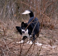 /album/a1/dsc-0318-jpg/