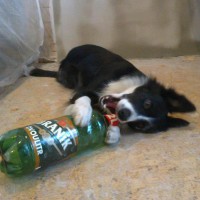 /album/a1/a579305-2504568669566-17653193-n-jpg/