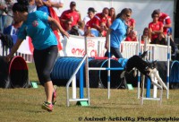 /album/a8/a13667836-1818967055002616-1374157615045826326-o-jpg/