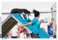 /album/a8/a28111369544-a62b01bf61-o-1-jpg/